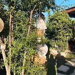 Masseria Li Vecchi Alojamento de Acomodação e Pequeno-almoço Squinzano