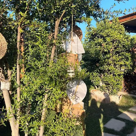 Masseria Li Vecchi Couette-café Squinzano